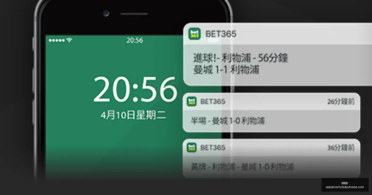 石家庄功夫,球队赠球衣,于奥拉维奥,开云代理官网,开云代理,开云体育,开云全站,开云入口
