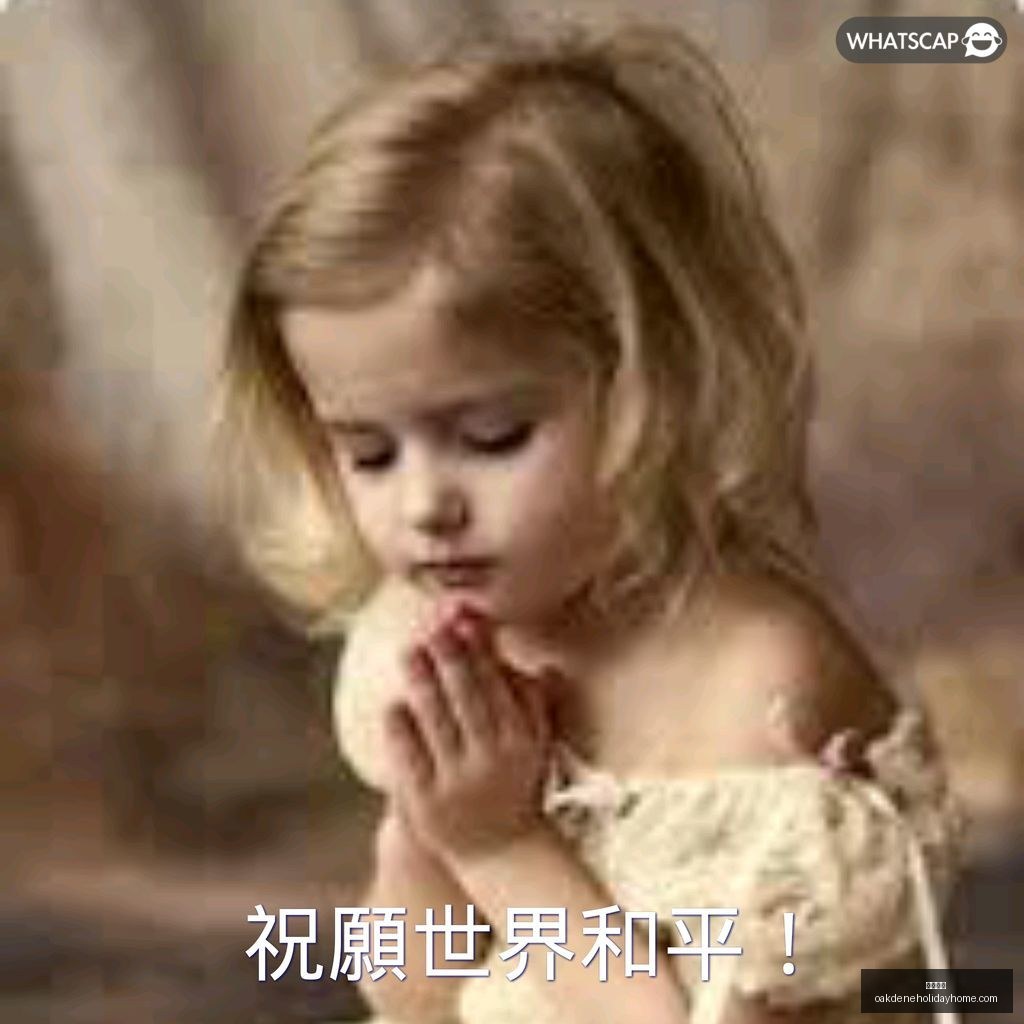 安德里希,表现不佳,德丙出局在,开云代理官网,开云代理,开云体育,开云全站,开云入口