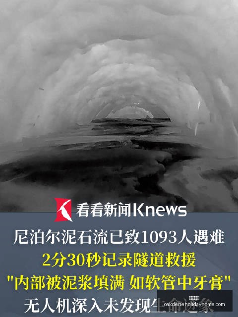 网易电竞新,游预约破百,玩家期待值,开云代理官网,开云代理,开云体育,开云全站,开云入口